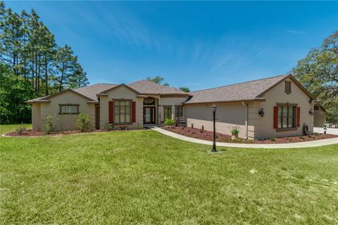 Tiny photo for 3428 N Bravo Drive, Beverly Hills, FL 34465 (MLS # OM700328)
