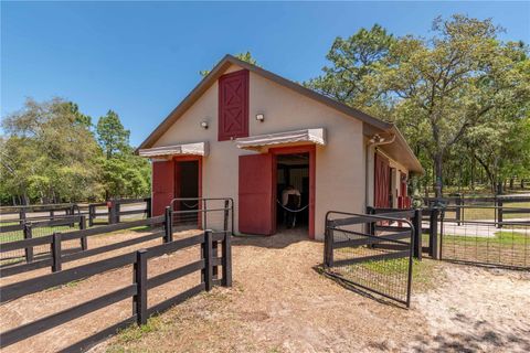 Tiny photo for 3428 N Bravo Drive, Beverly Hills, FL 34465 (MLS # OM700328)