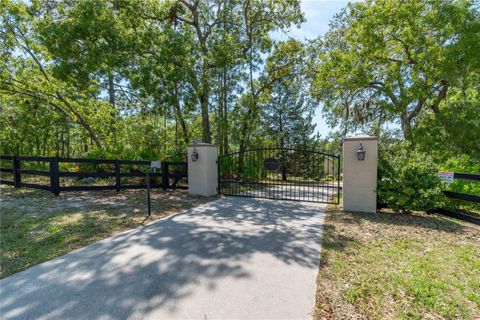 Photo of 3428 N Bravo Drive, Beverly Hills, FL 34465 (MLS # OM700328)