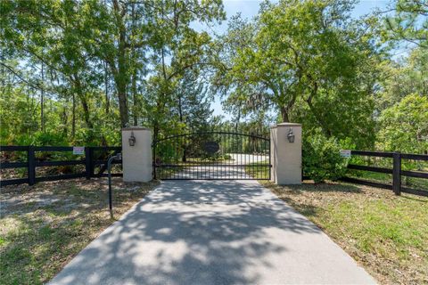 Tiny photo for 3428 N Bravo Drive, Beverly Hills, FL 34465 (MLS # OM700328)