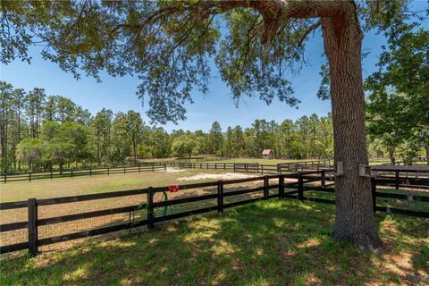 Tiny photo for 3428 N Bravo Drive, Beverly Hills, FL 34465 (MLS # OM700328)