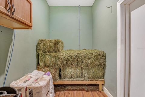 Tiny photo for 3428 N Bravo Drive, Beverly Hills, FL 34465 (MLS # OM700328)