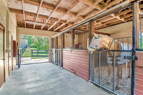 Tiny photo for 3428 N Bravo Drive, Beverly Hills, FL 34465 (MLS # OM700328)