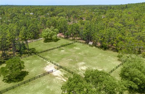 Tiny photo for 3428 N Bravo Drive, Beverly Hills, FL 34465 (MLS # OM700328)