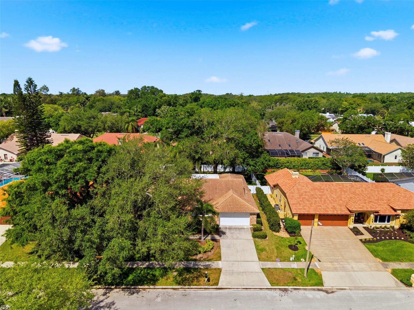 COUNTRYPARK - Residential