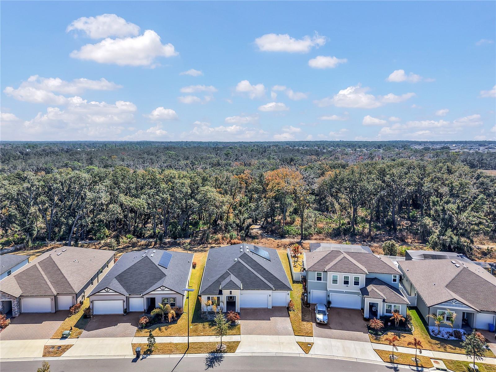 TRIPLE CRK VILLAGE R - Residential