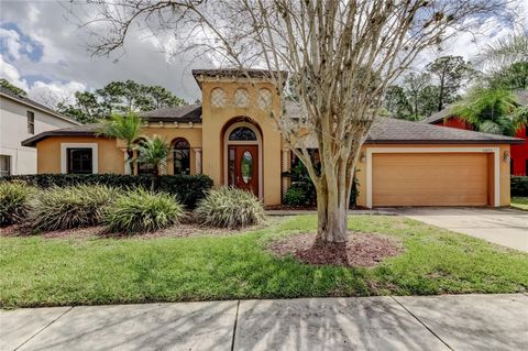 Photo of 10820 Rain Lilly Pass, Land O Lakes, FL 34638 (MLS # TB8483340)