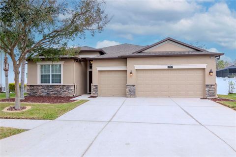 A home in LAND O LAKES