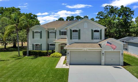 Photo of 16118 Muirfield Drive, Odessa, FL 33556 (MLS # O6401648)