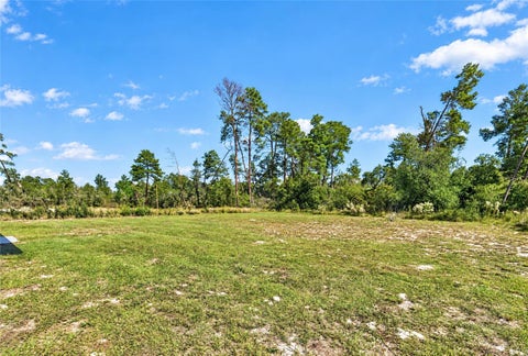 Tiny photo for 17399 SW 25th Circle, Ocala, FL 34473 (MLS # OM734592)