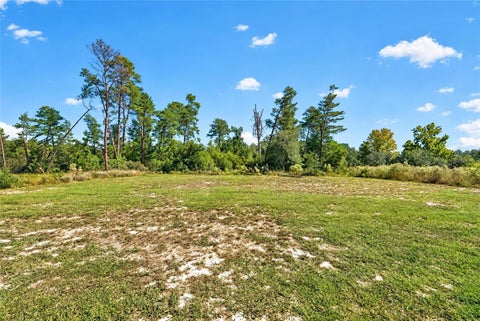Tiny photo for 17399 SW 25th Circle, Ocala, FL 34473 (MLS # OM734592)