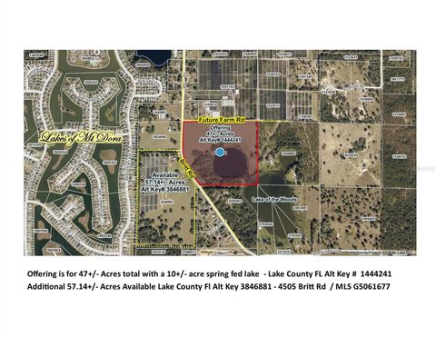 000 BRITT RD & FUTURE FARM ROAD MOUNT DORA FL 32757