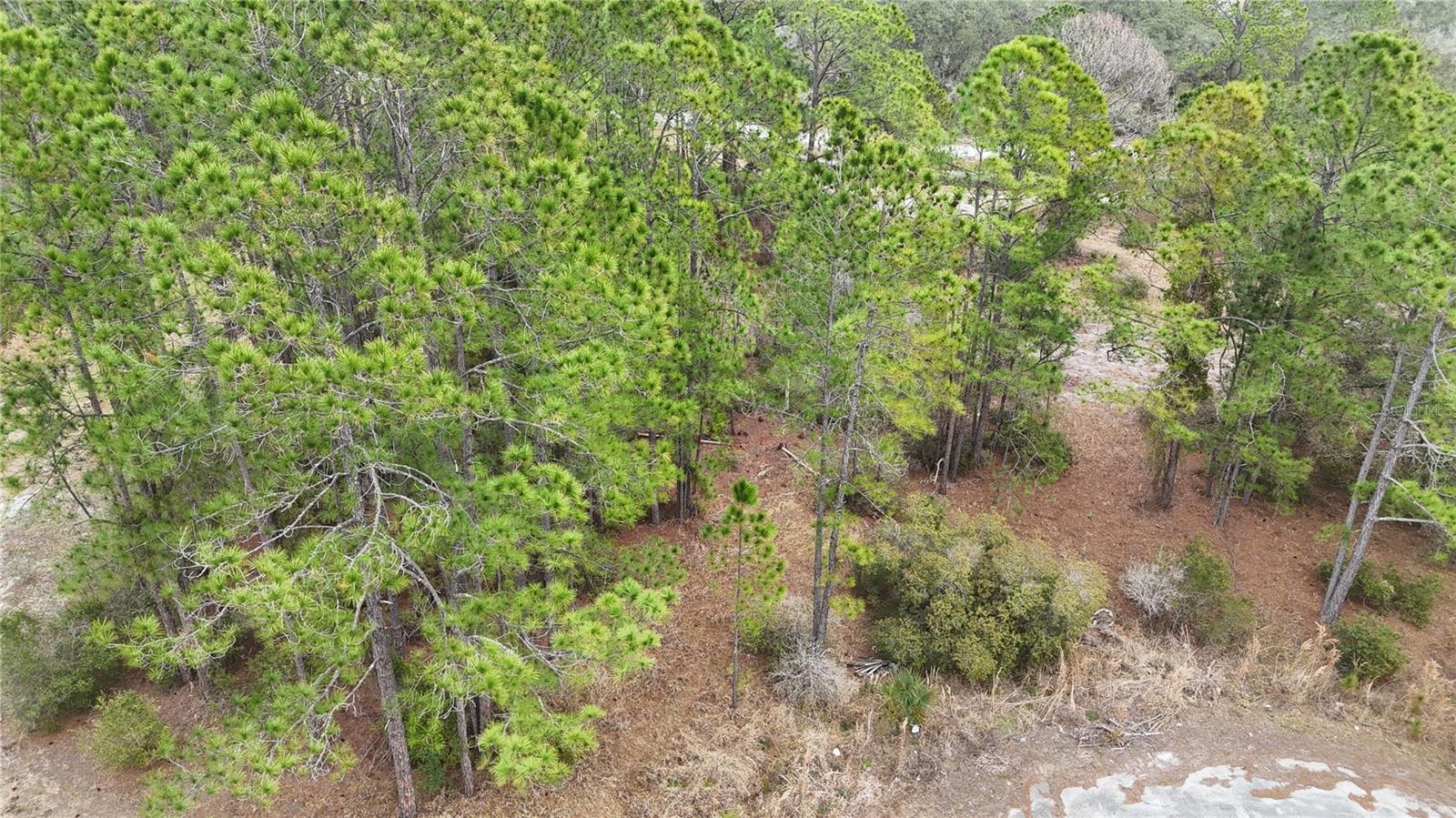 POINCIANA NBRHD 02 WEST VILLAGE 07 - Land