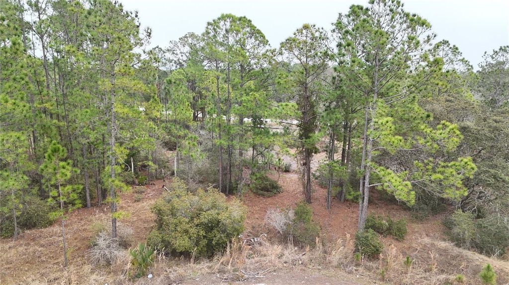 Photo of 1256 Wahneta Drive, Kissimmee, FL 34759 (MLS # O6391396)