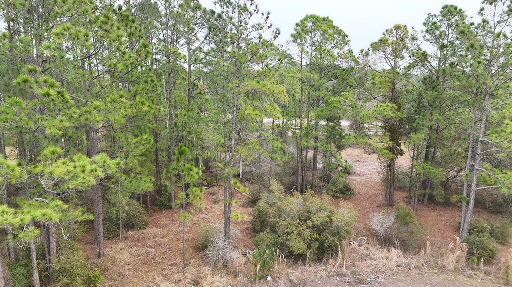 Photo of 1256 Wahneta Drive, Kissimmee, FL 34759 (MLS # O6391396)