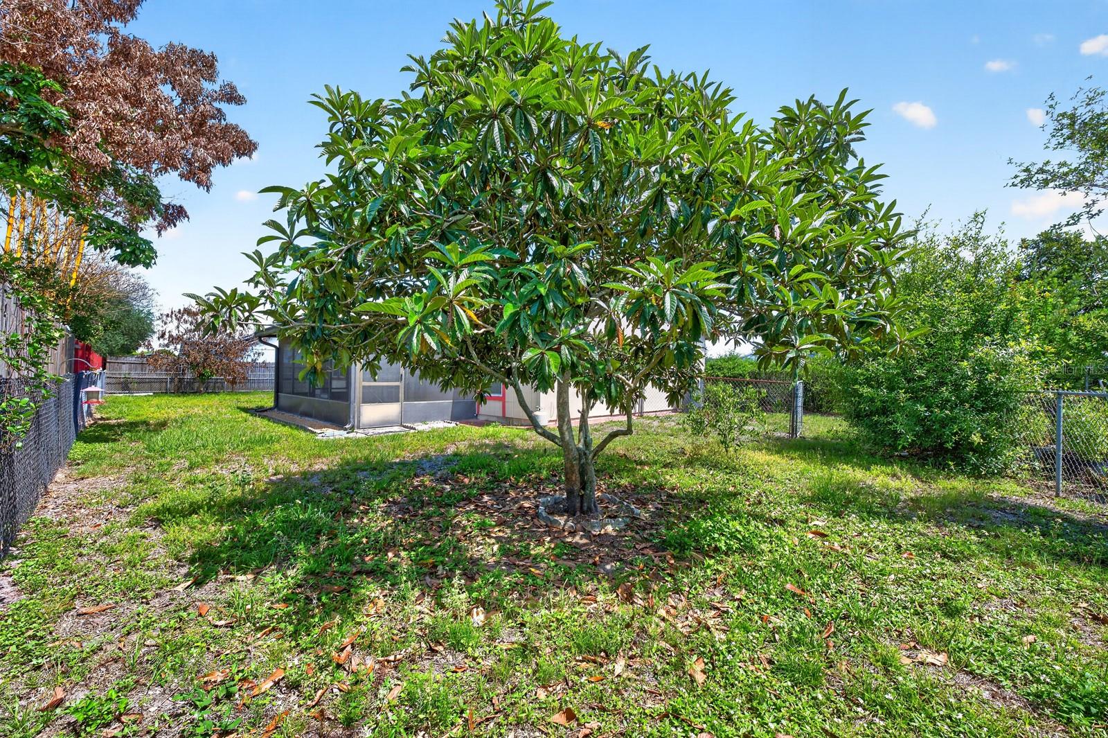 BVL UNIT 11 3RD ADD - Residential