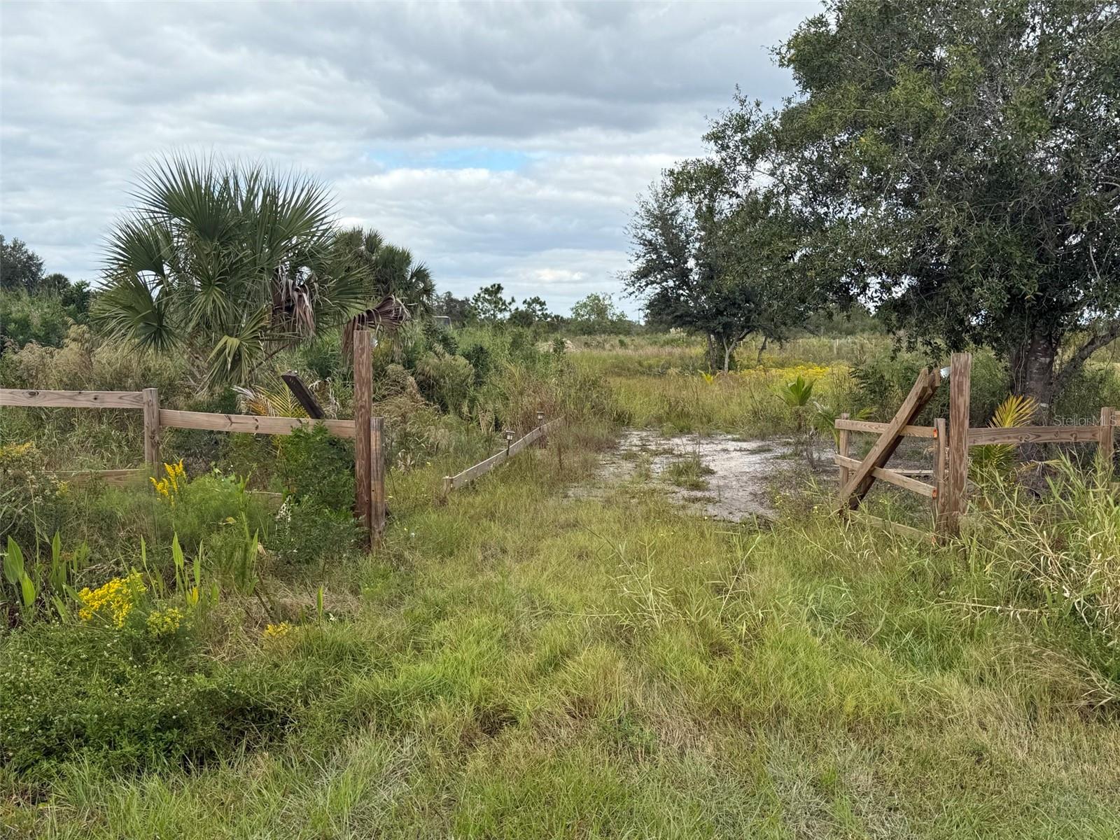 SOUTHERN COLONIZATION CO - Land