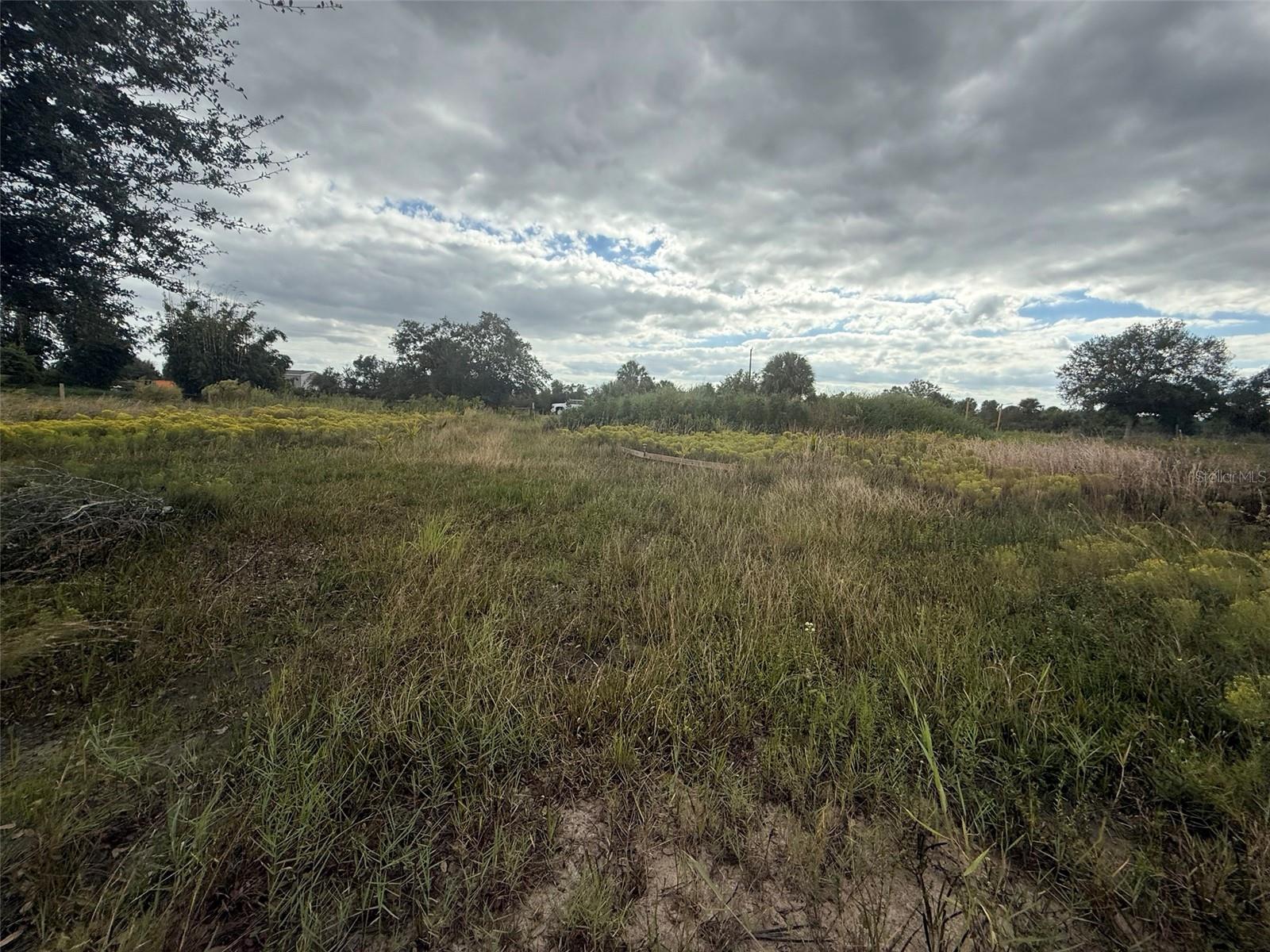 SOUTHERN COLONIZATION CO - Land