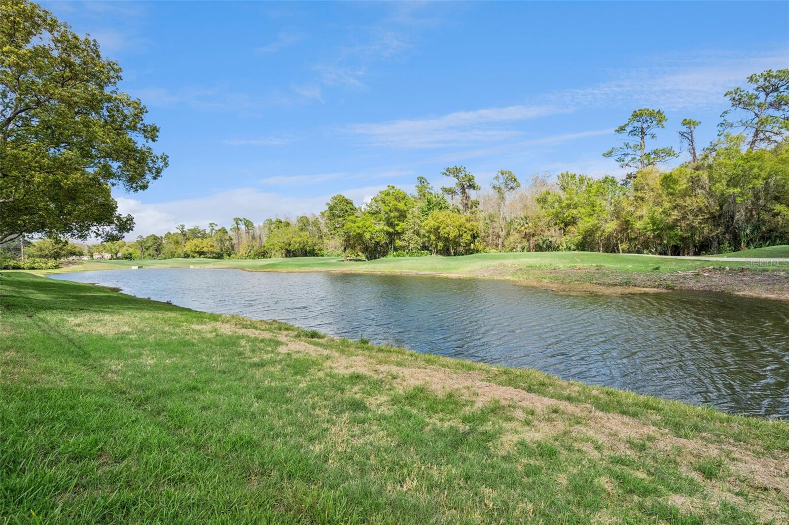 STONEYBROOK - Residential
