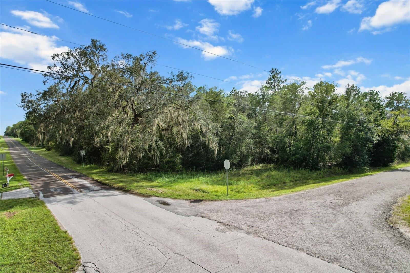 WHISPERING OAKS - Land