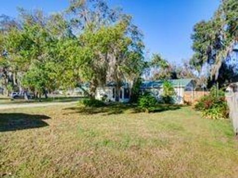 1218 CR 450 LAKE PANASOFFKEE FL 33538