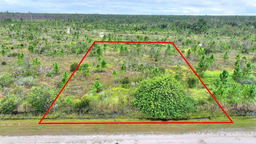 0.51 ACRE LOT IN SUNNY CENTRAL FLORIDA! Half acre lot in Indian Lake Estates. LOW annual community fee. Residential zoning, build your dream home! Established home nearby to run electric lines. Property will require a septic tank system and well for water. Off the beaten path with minimal neighbors. Very secluded, enjoy the peace and quiet that natural Florida offers. Community is water front on Lake Walk In Water. Enjoy water access, community boat ramp, huge fishing pier/ boardwalk, community clubhouse, tennis/ basket ball courts, play park, restaurants located in the community, golf course and golf pro shop! Golf membership is separate. Fish, boat, ski on Walk In Water, a 7500+ acre lake. Miles and miles of unimproved natural Florida surrounded by state nature conservation trails. Neighbors to River Ranch POA and Resort at Canopy Oaks. 1.5 hr to Florida coast and Disney World. Go see this property today!