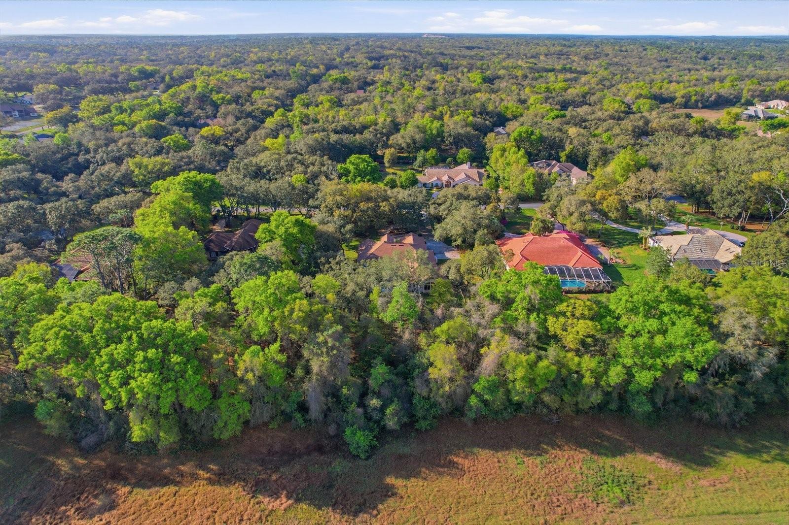 HAMPTON HILLS - Residential