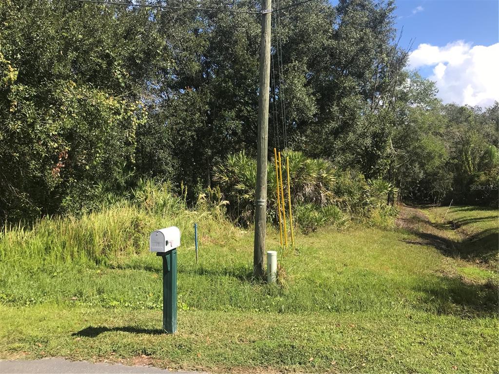 POINCIANA VILLAGE 01 NEIGHBORHOOD 01 NORTH - Land