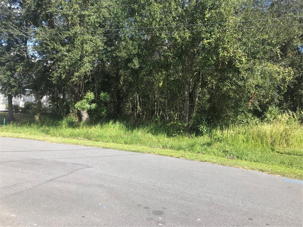 POINCIANA VILLAGE 01 NEIGHBORHOOD 01 NORTH - Land