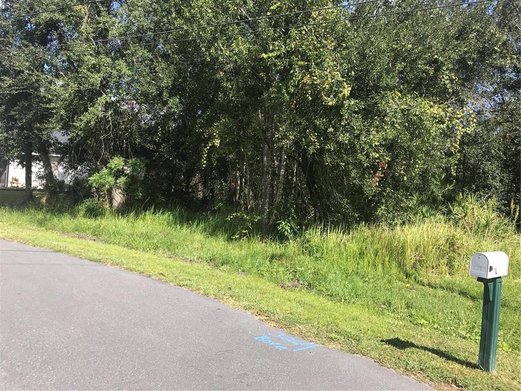 POINCIANA VILLAGE 01 NEIGHBORHOOD 01 NORTH - Land