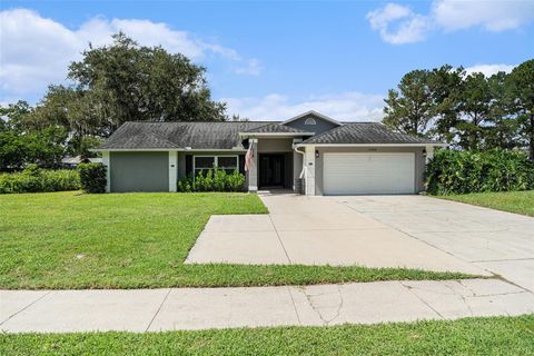 Photo of 18408 Hanna Road, Lutz, FL 33549 (MLS # TB8432405)