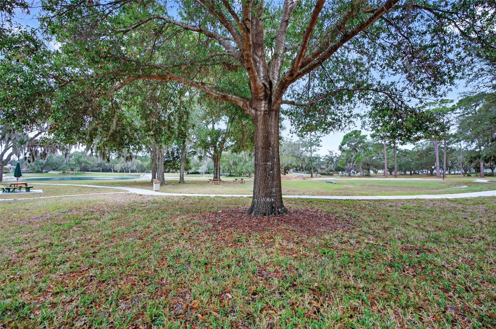 PINEHURST VILLAGE - Residential