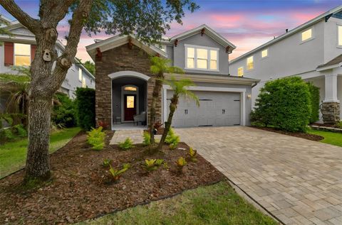 16214 BAYBERRY VIEW DRIVE LITHIA FL 33547