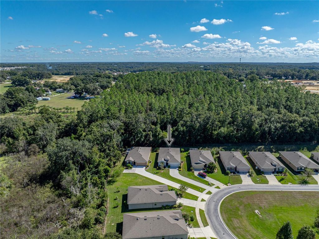 Photo of 12717 Eastpointe Drive, Dade City, FL 33525 (MLS # TB8439452)