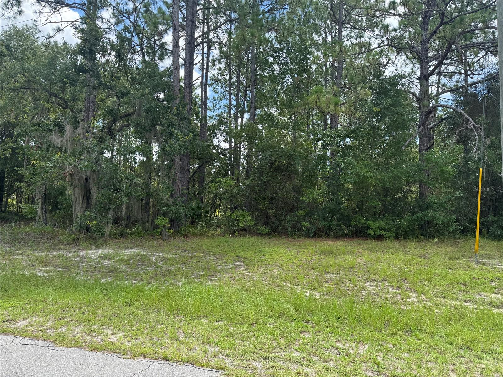 Build your dream home!! Oversized residential lot , almost 1/2 acre! Great location surrounded by new construction and modern living.
Don't miss out on this rare chance to build your custom home on a huge lot!!