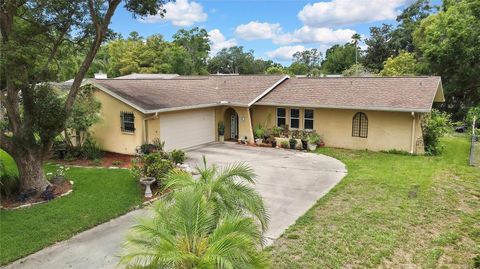 17706 MORNINGHIGH DRIVE LUTZ FL 33549