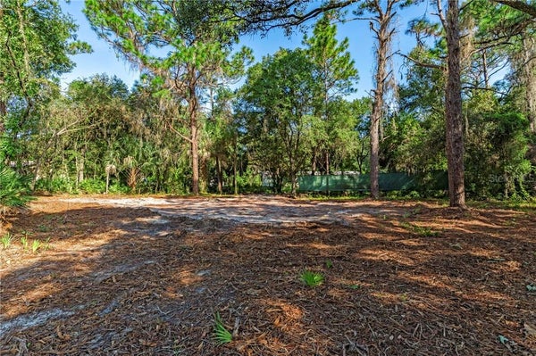 8181 W TRACY PT, HOMOSASSA, FL 34448 - Image b7357e1bc6cca0ea6bf4f383eb9c7fe1/2931344418