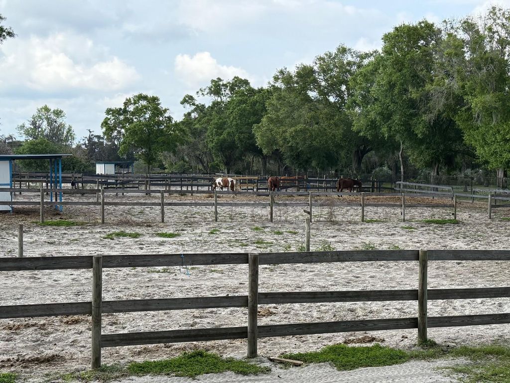 Photo of 16315 Mcglamery Road, Odessa, FL 33556 (MLS # TB8366062)