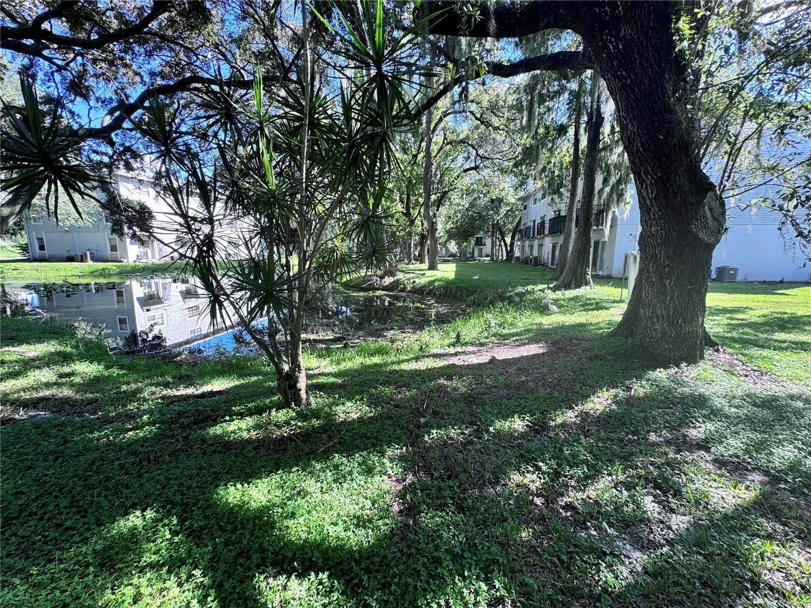 7177 E BANK DRIVE 102