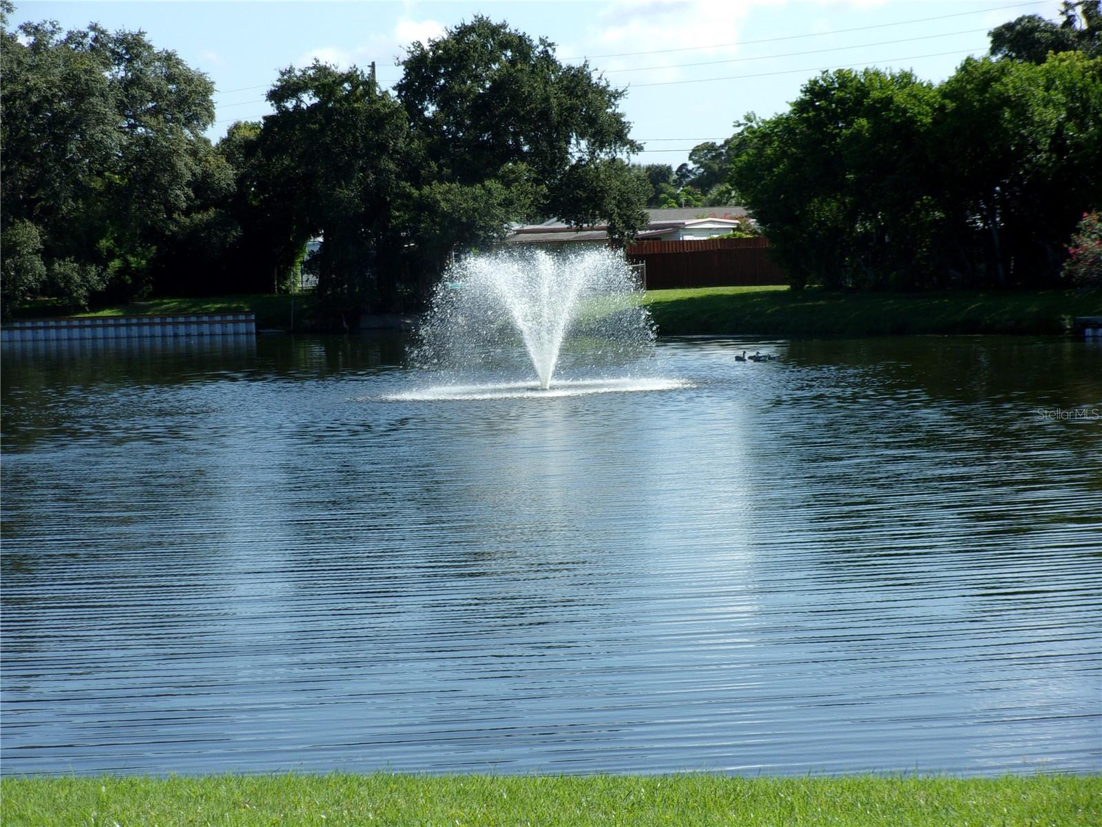 SEMINOLE GARDEN APTS CO-OP - Residential