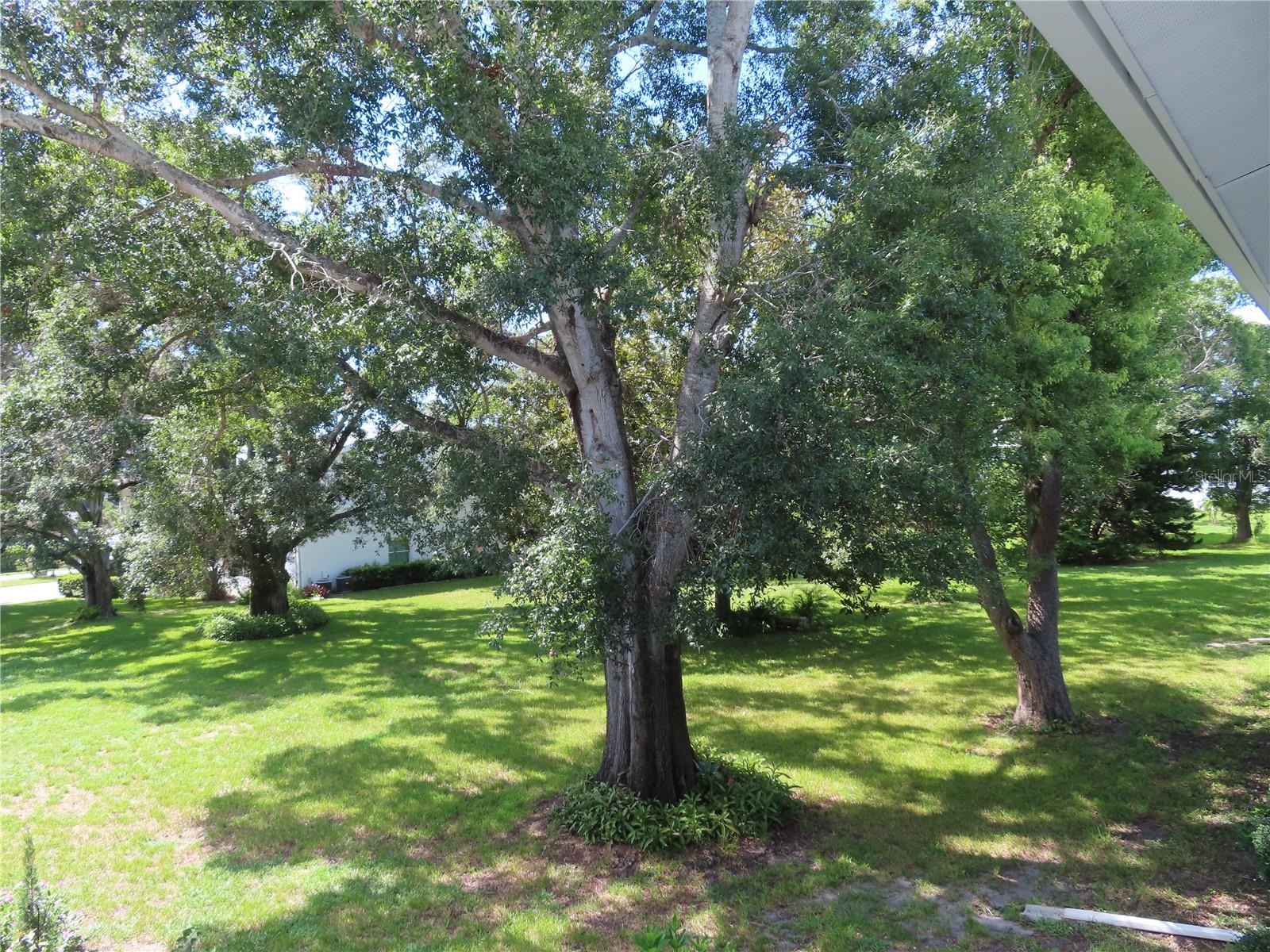 300 CLYDE LANE 207