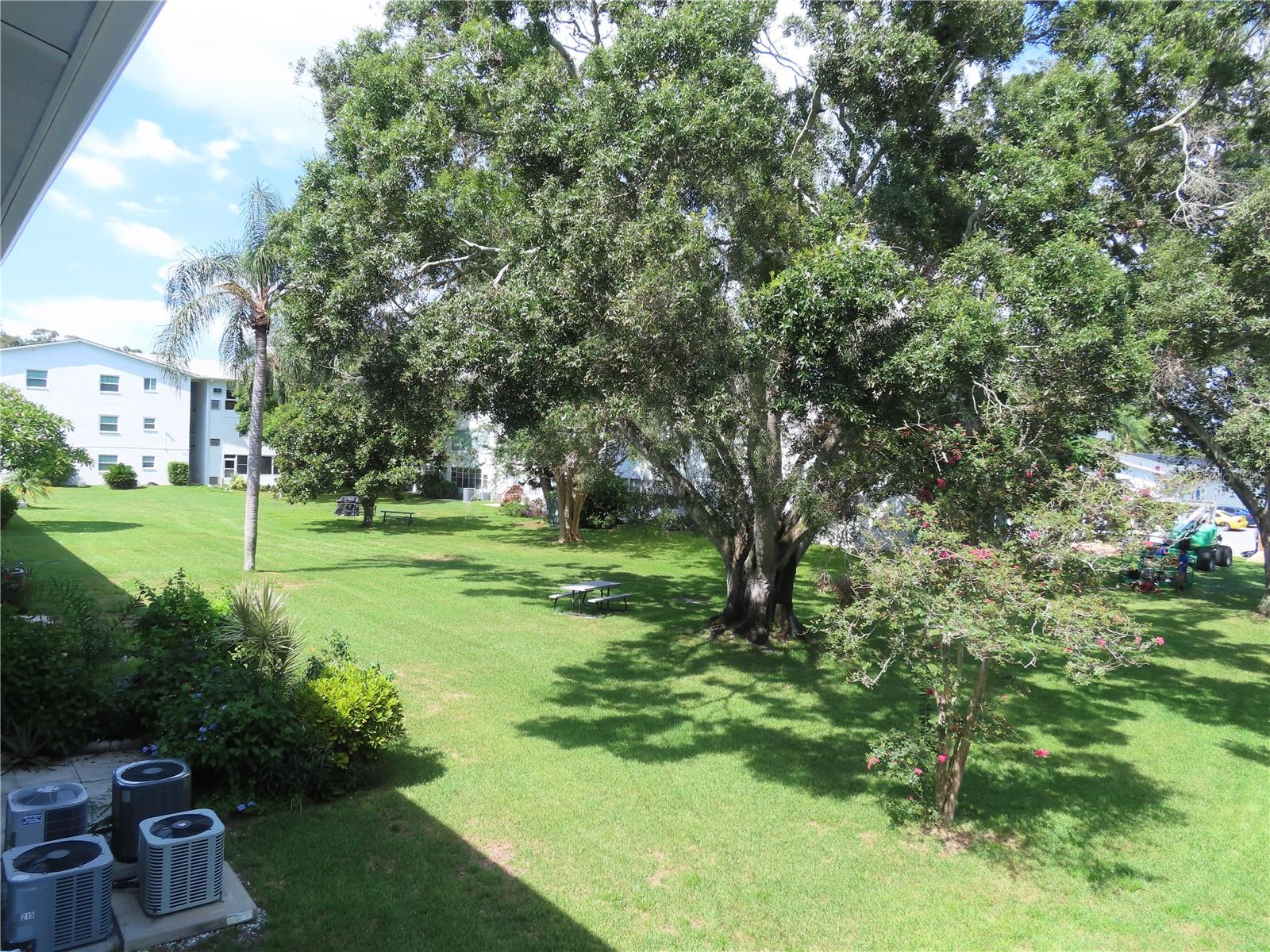 300 CLYDE LANE 207