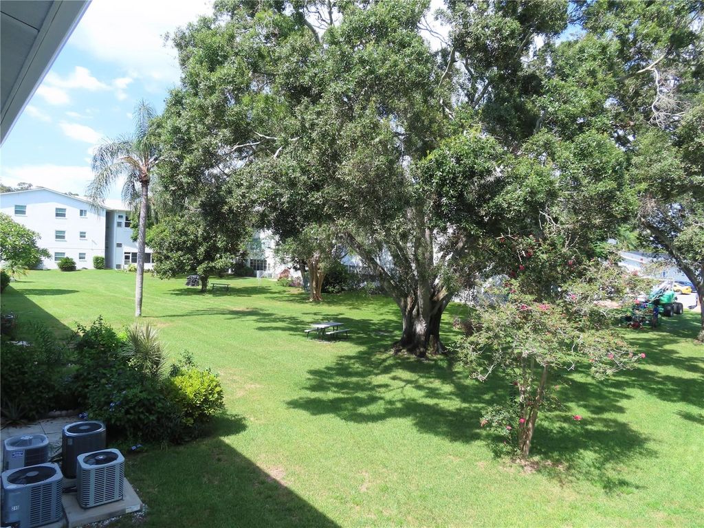 Photo of 300 Clyde Lane #207, Dunedin, FL 34698 (MLS # TB8418526)