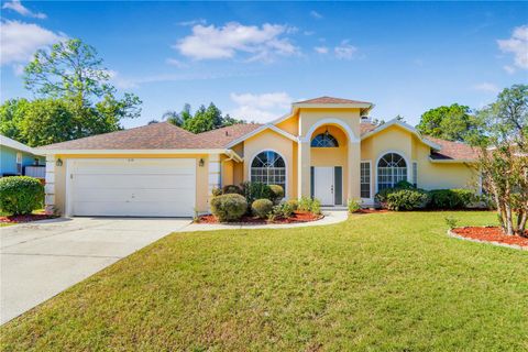 Photo of 1638 Palm Beach Drive, Apopka, FL 32712 (MLS # O6358746)