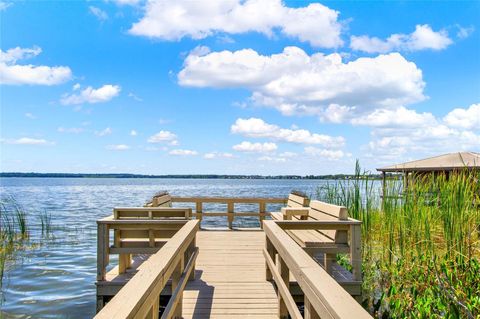 A home in MOUNT DORA