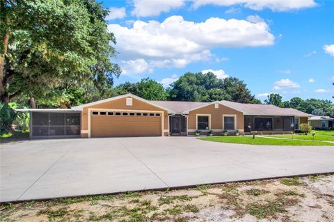 A home in MOUNT DORA