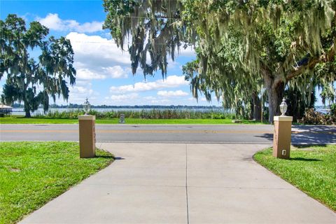 A home in MOUNT DORA