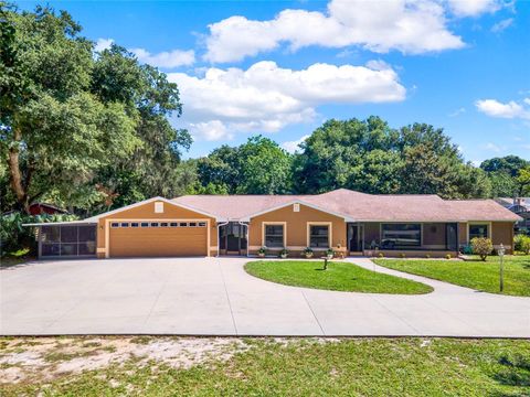 A home in MOUNT DORA