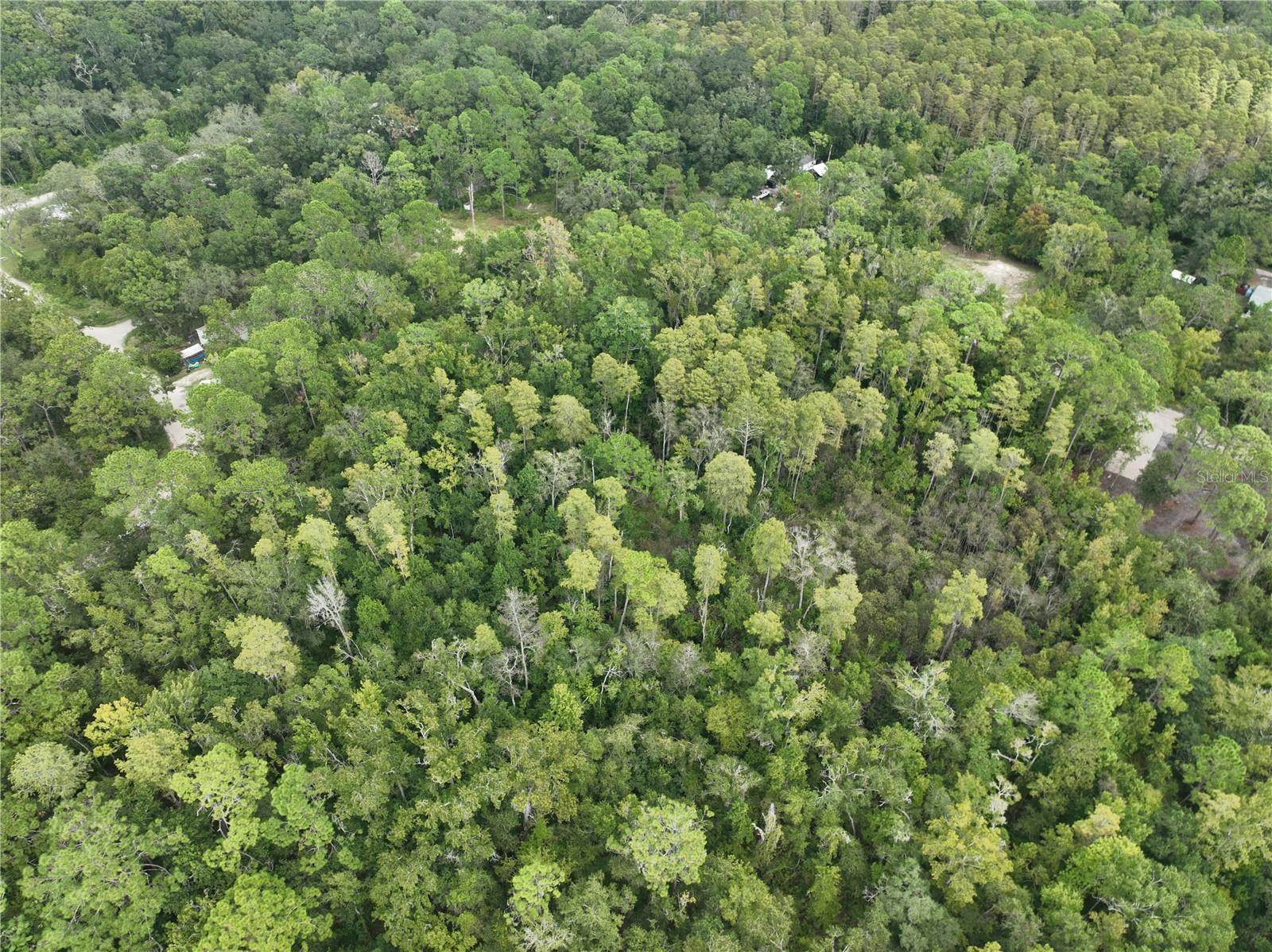 MOON LAKE ESTATES - Land