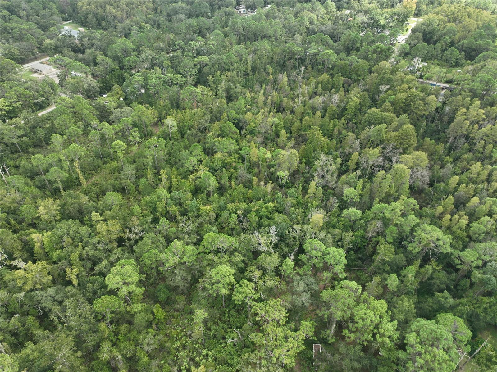 MOON LAKE ESTATES - Land